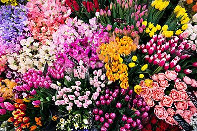 《史诗战争模拟器2》Steam抢先体验发售 不支持中文